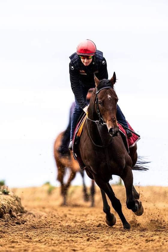 A bay racehorse and rider leading the way on the sand gallop
