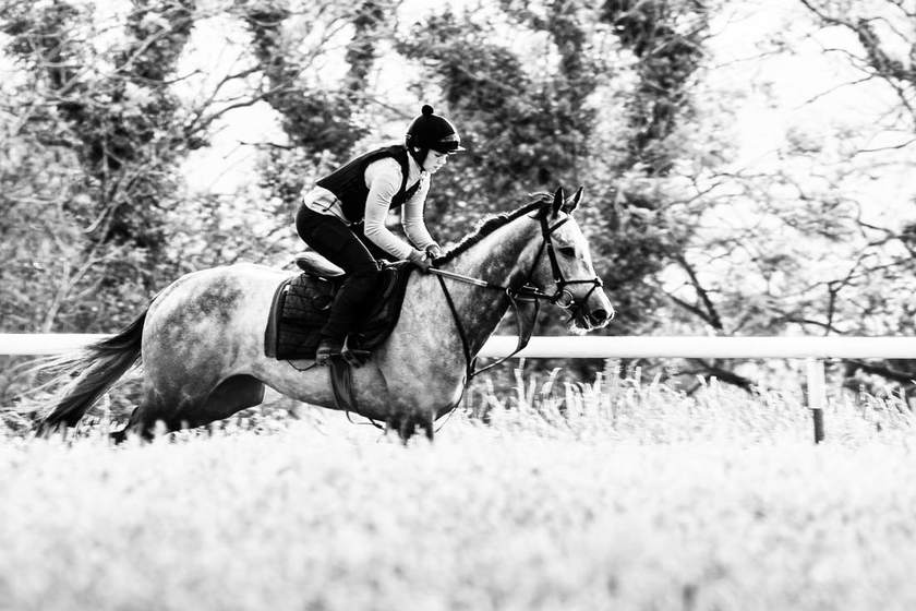 A grey racehorse cantering on the grass gallop beside the rail, in black and white