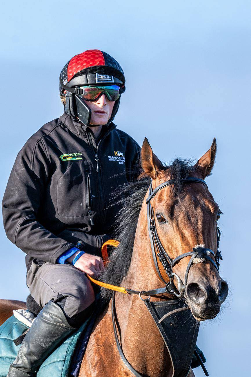 A jockey and racehorse waiting for the off