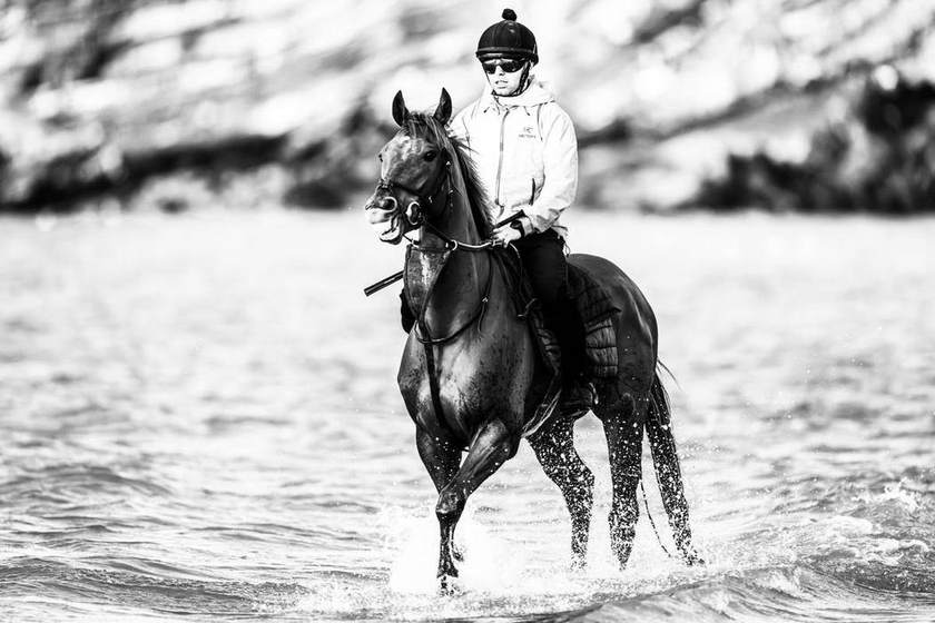 A racehorse and rider splashing through the sea beneath the cliffs, in black and white