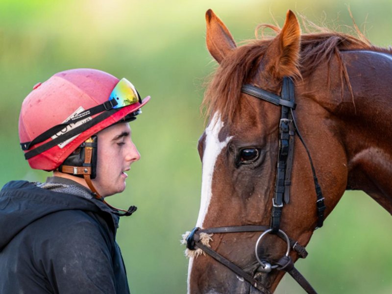 A rider sharing a quiet moment with a chestnut racehorse