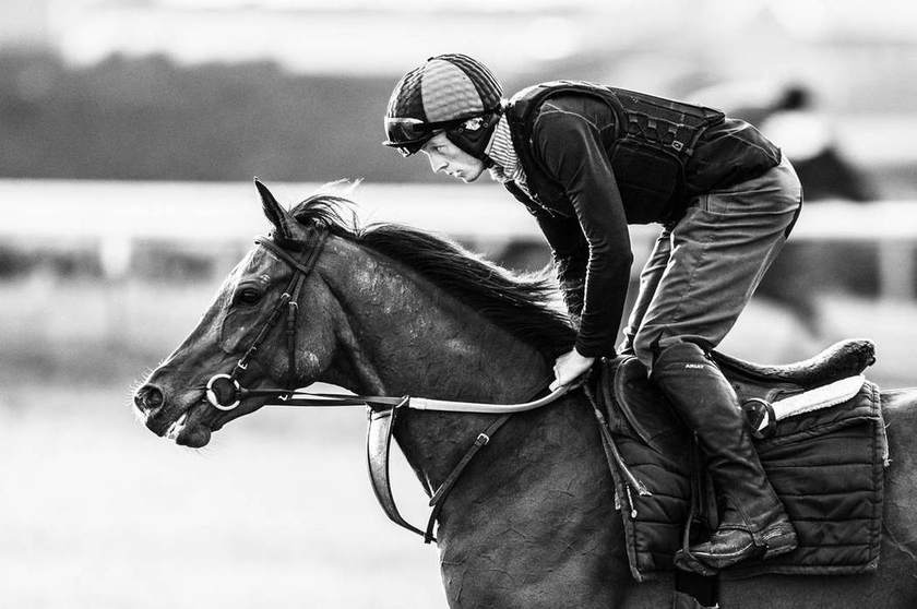 On the gallops