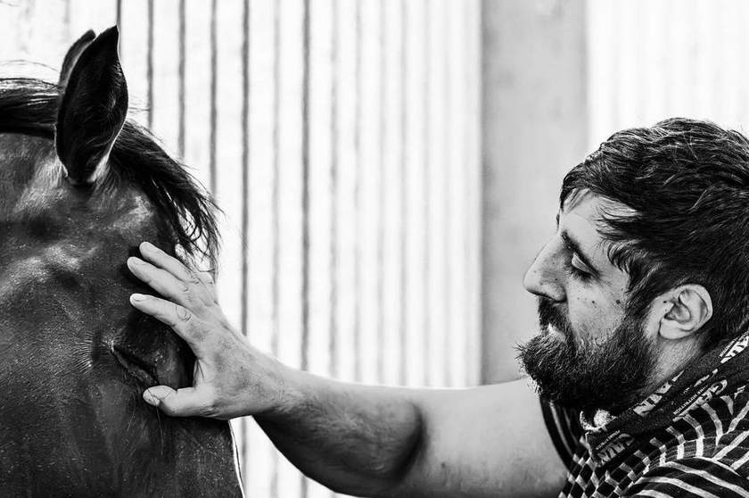A quiet moment with a stable hand