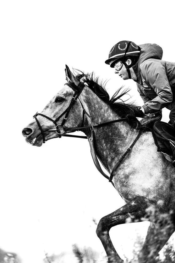 A grey racehorse and rider in full stride, in black and white