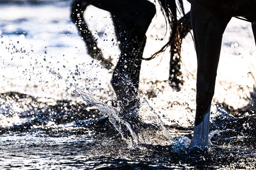 Splashing through the shallows