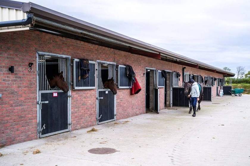 The brick stable block with horses looking over their doors